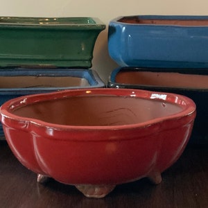 8" Deep Glazed Ceramic Bonsai Pot. Choose from several styles and colors.