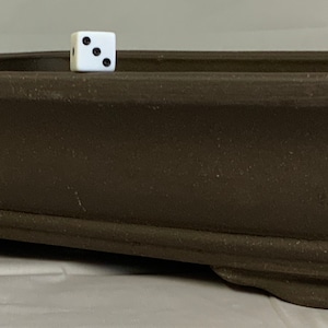 May include: A rectangular brown ceramic bonsai pot with a slightly raised rim and four feet. The pot is empty and has a rough, textured surface.