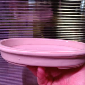 May include: A light pink ceramic saucer for a bonsai tree or small plant.