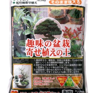 Bonsai Soil Perfect for small bonsai