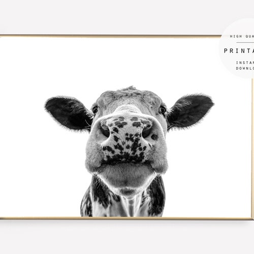 Print 38 Cow Print Black and White Cow Wall Art Wilderness Etsy