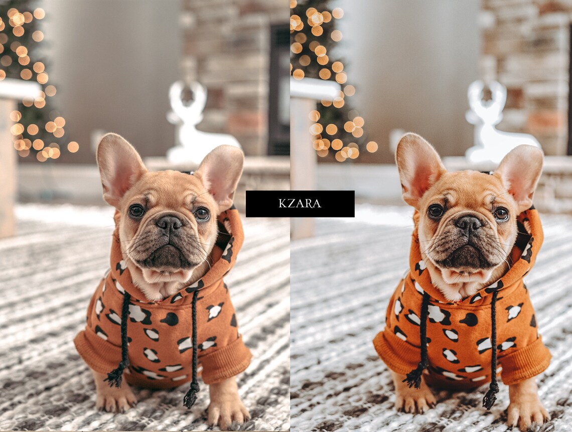 recently used presets in exposure x recently used presets in exposure x