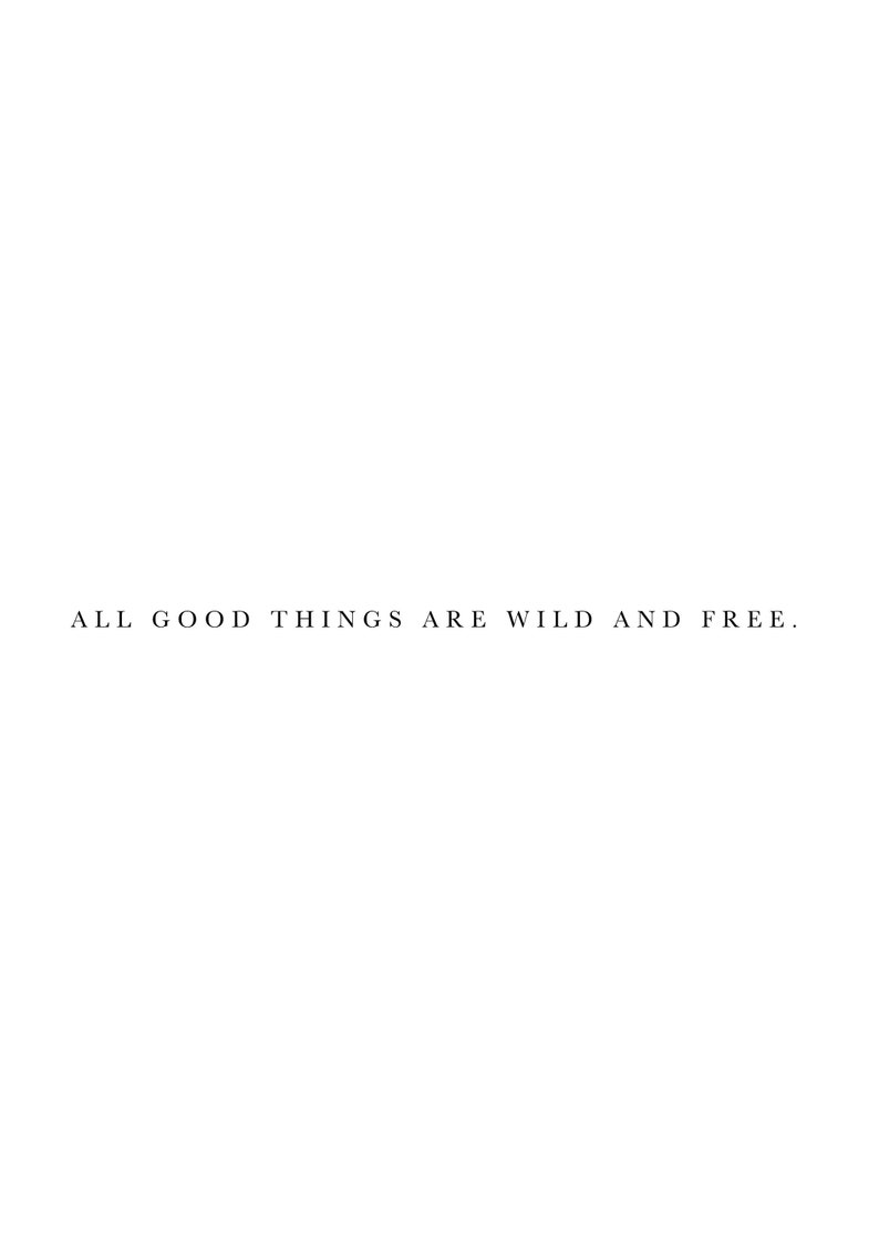 Wild and Free Travel Quote Digital Print Travel Wall Art Life Printable Travel Printable Saying and Phrase Wall Decor Quote #1
