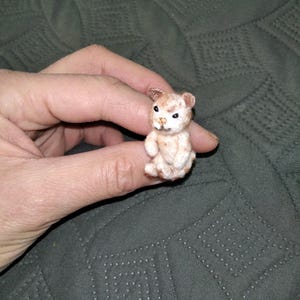 ミニチュア猫、小さくてかわいい小さな子猫、ポケット子猫、ミニチュアドールハウスのおもちゃの猫、手作りのミニ猫の小さなおもちゃ、ギフト用