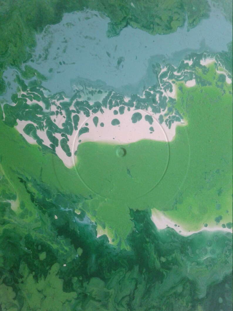One of a Kind Acrylic Fluid Painting on Vintage Vinyl Record #62 art by Kenny Lessing 2019 Jungle Book
