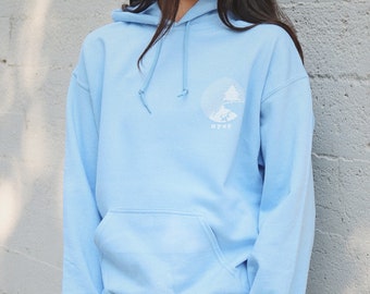 pacsun sherpa hoodie