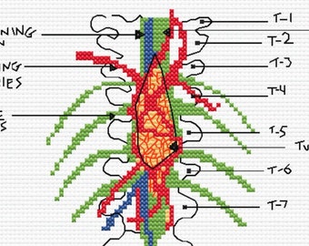 Greys Anatomy Brain Tumor - Anatomical Tumour Diagram Cross Stitch Pattern PDF - Patternkeeper Compatible