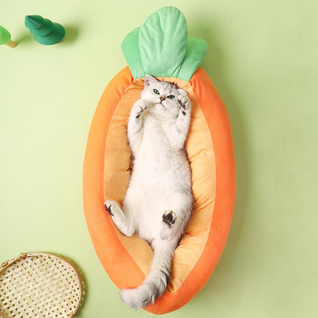 carrot-bed-pattern-felted-cat-cave-wool-cat-bed-pet-gift-for-him