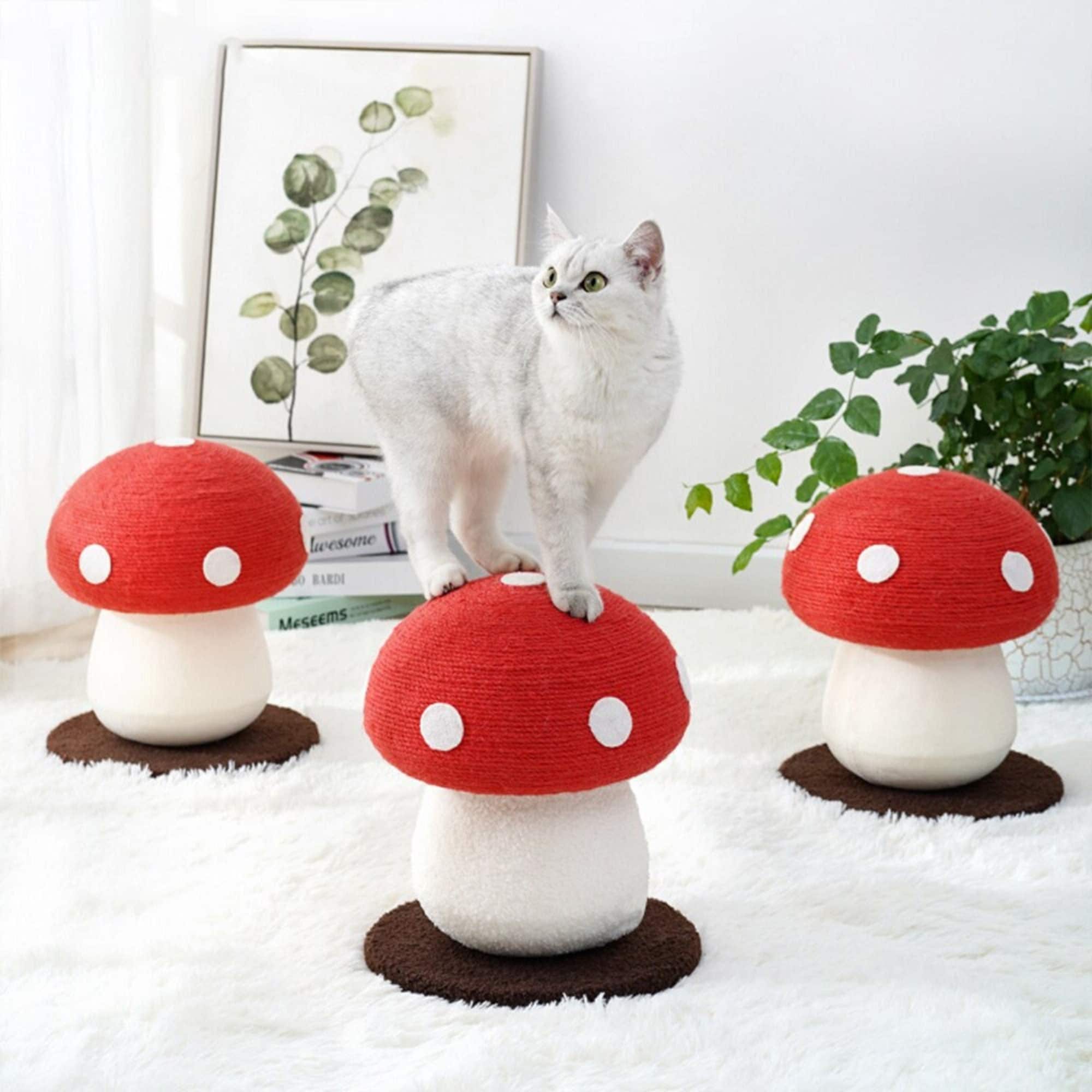 Mushroom Shaped Cat Scratching Mat, Interactive Toys For Indoor Cats, Pet Toy  Cat Scratcher Pad, Shop On Temu And Start Saving
