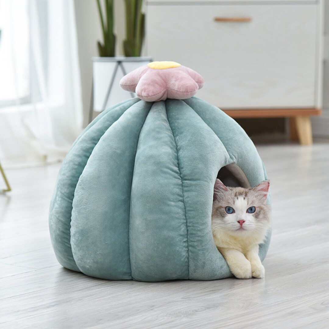 Cactus Cat Bed Cave Modern Wool Cat Bed Cat Kennel House Etsy