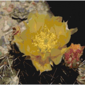 Fiore di fico d&#39;india giallo punto croce/punto/mosaico