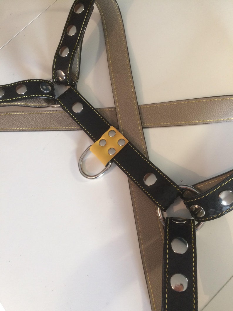 Stylish harness leather black and yellow