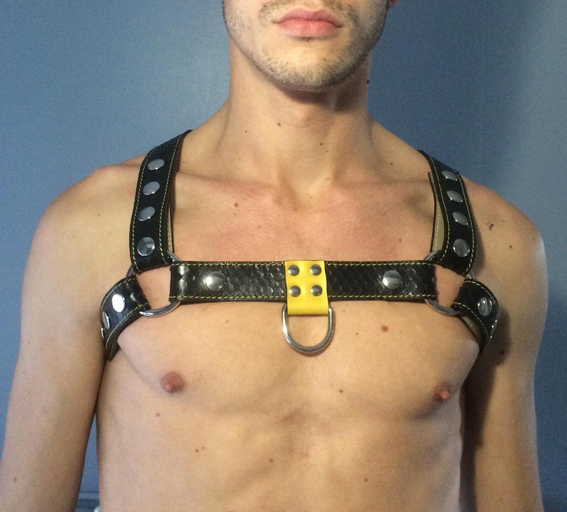 Stylish harness leather black and yellow