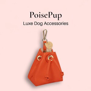 Luxe Echtleder Leckerli Tasche für Hunde und Welpen | Hand Free Pet Walking Training Beutel Tasche für Leckereien | Kotbeutelspender für Hunde - Orange
