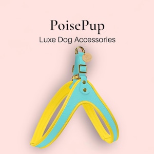 Puede incluir: Arnés para perros amarillo y turquesa con detalles dorados y una pequeña etiqueta. El texto "PoisePup Luxe Dog Accessories" es visible. Un accesorio de lujo para perros.