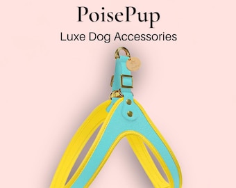 High End Quality Dog Harness Handmade with Genuine Leather and Easy Release Buckle - Light Blue | Yellow