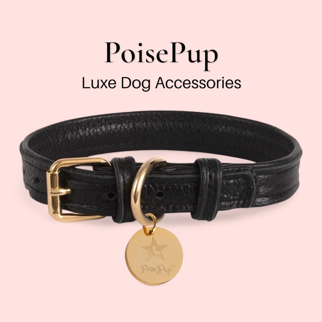 HEELE Zacht Lederen Hondenhalsband voor Klein Honden Ademend Gevoerd met D-ring, Verstelbare Klassieke Hondenhalsband, Zwart,S