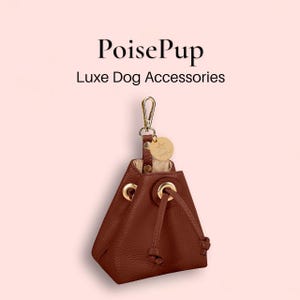 Luxe Echtleder Leckerli Tasche für Hunde und Welpen | Hand Free Pet Walking Training Beutel Tasche für Leckereien | Kotbeutelspender für Hunde - Braun