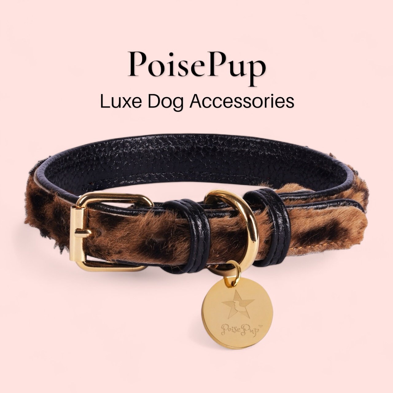 Luxury dog gifts discount