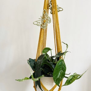 May include: A yellow macrame plant hanger with a white pot and a green plant. The hanger has three butterfly cutouts.