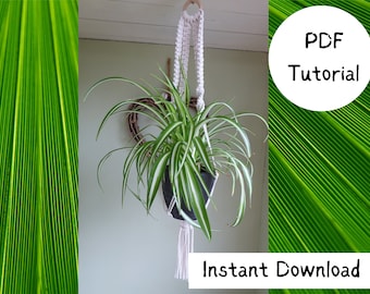 Descarga digital Instrucciones para colgar plantas en macramé • PDF • tutorial