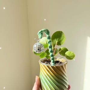 May include: A green macrame plant stake with a small silver disco ball charm, inserted into a potted Pilea peperomioides plant. The plant is housed in a spiraled, gradient-colored pot that transitions from yellow at the top to green at the base.