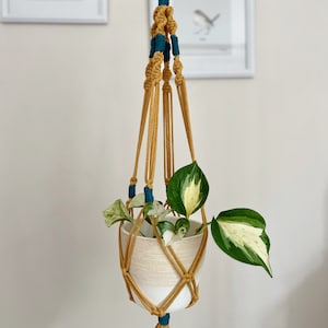 May include: A macrame plant hanger with a white pot and a green plant. The hanger is made of yellow and teal cord and has a wooden ring at the top.
