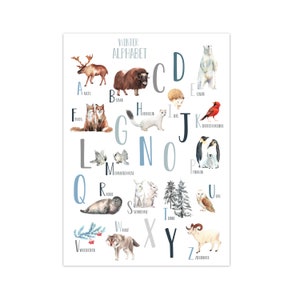 Panda balena decorazione della stanza dei bambini immagine ABC poster per bambini animale alfabeto ragazzo ragazza murale per imparare colorato poster di apprendimento lettere inverno ABC