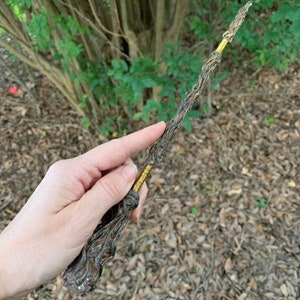 Peut inclure: Une baguette en bois avec une pointe de cristal clair et des accents dorés. La baguette est tenue dans une main sur un fond de feuilles brunes.