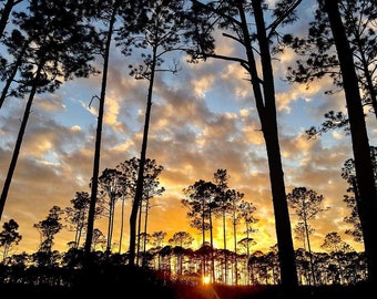 Sunset at Payne's Praire Preserve State Park Florida
