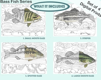 Bass Fish Coloring Pages