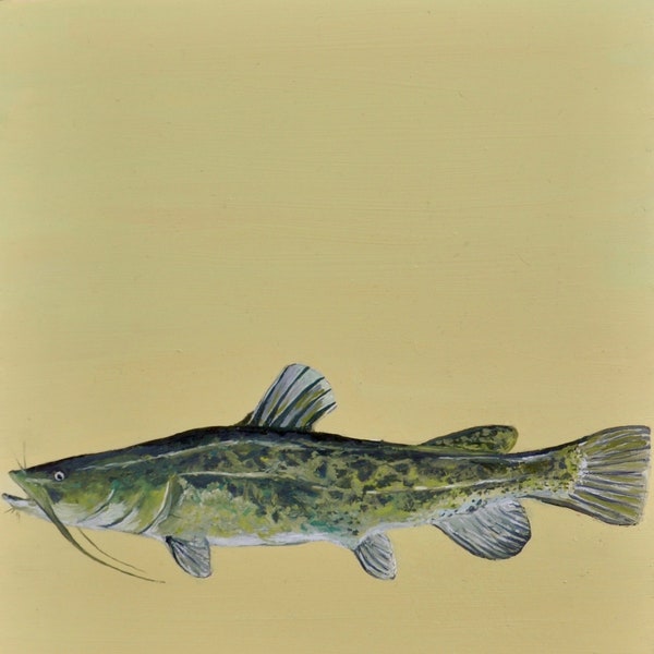 Catfish Print Etsy