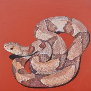 Copperhead print