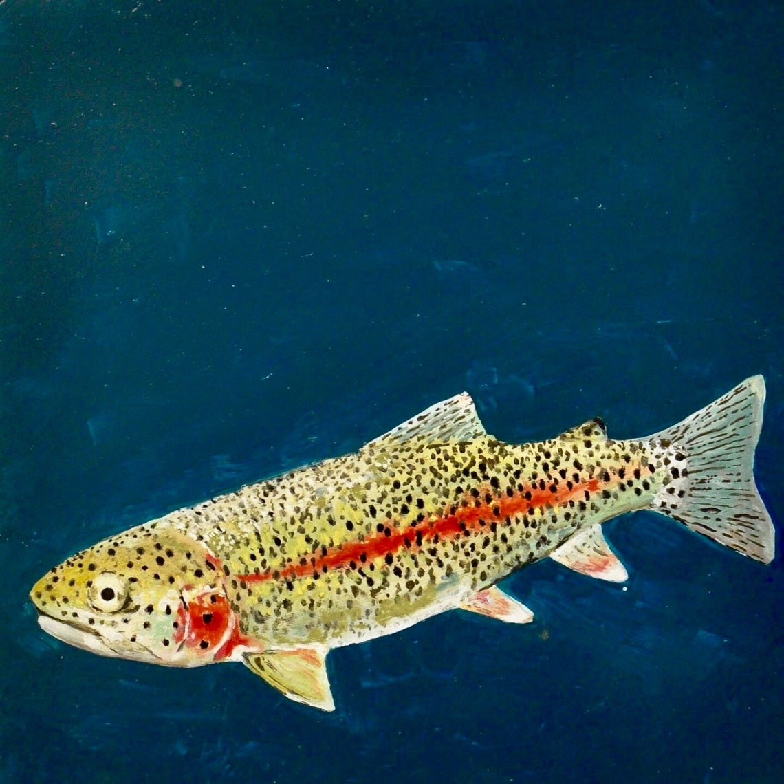 Rainbow Trout print | Etsy