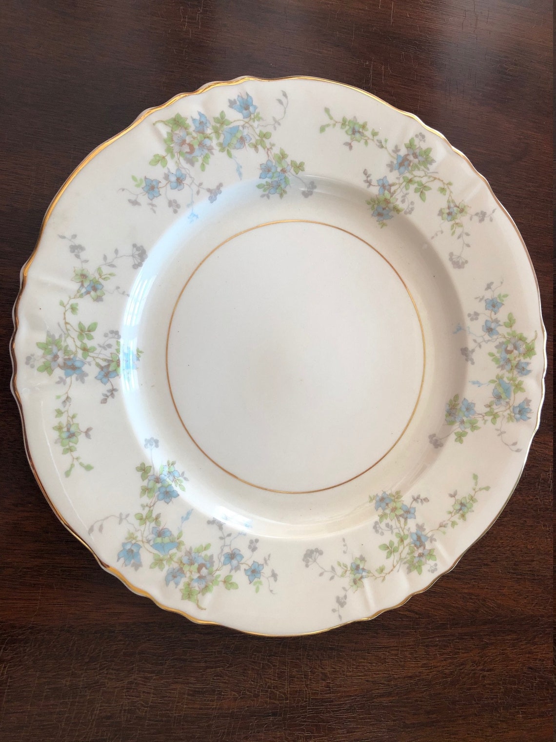 Vintage rare Syracuse Federal shape china Mayview pattern Etsy