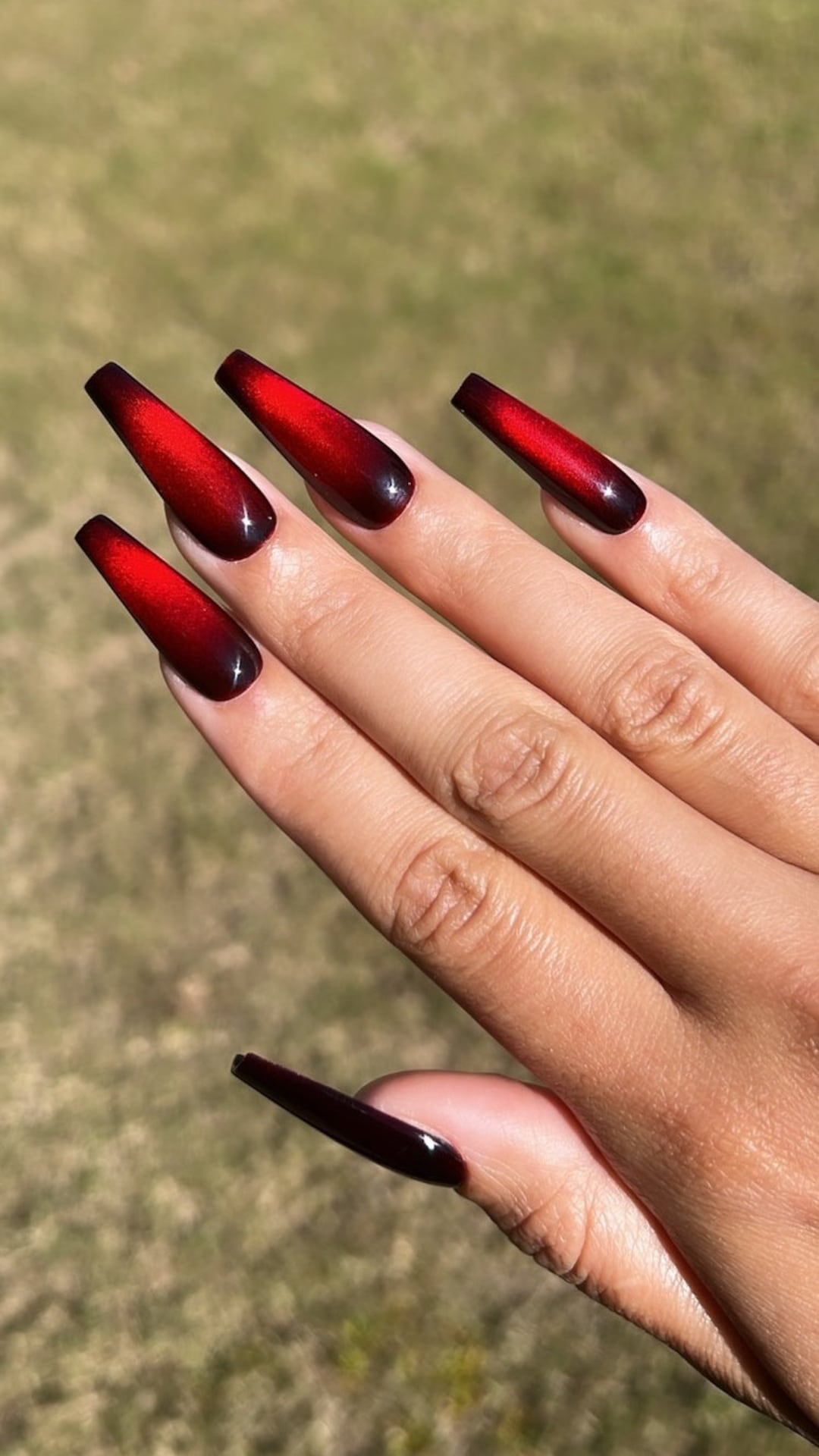 Tinted Cat Eye Polish Red Black Velvet Matte Handmade Press on Nails Etsy