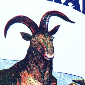 K&ouml;nnte beinhalten: Eine Vintage-Illustration einer braunen und roten Ziege mit gro&szlig;en H&ouml;rnern. Die Ziege schaut nach rechts und hat einen wei&szlig;en Hintergrund.