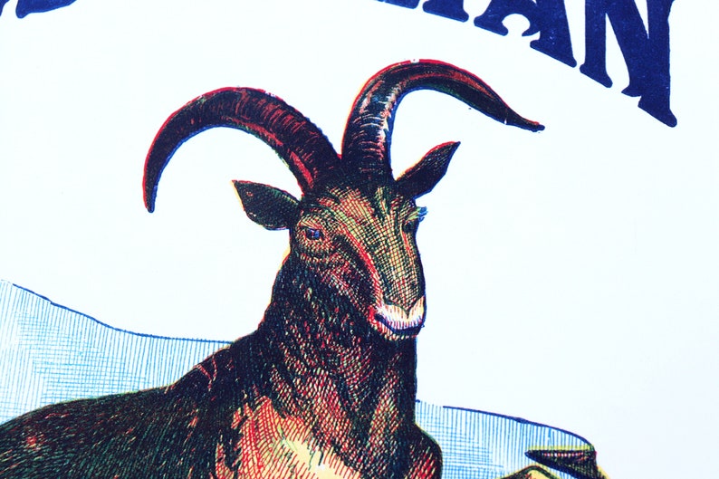 K&ouml;nnte beinhalten: Eine Vintage-Illustration einer braunen und roten Ziege mit gro&szlig;en H&ouml;rnern. Die Ziege schaut nach rechts und hat einen wei&szlig;en Hintergrund.
