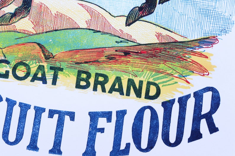 K&ouml;nnte beinhalten: Nahaufnahme eines Vintage-Etiketts f&uuml;r "Goat Brand Fruit Flour". Das Etikett zeigt eine stilisierte Ziege, die &uuml;ber einen H&uuml;gel springt, mit einem gr&uuml;nen Feld und roten und gelben H&uuml;geln im Hintergrund. Der Text ist in Schwarz, Gr&uuml;n und Blau.
