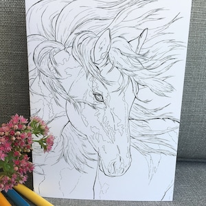 Cheval coloriage carte téléchargement immédiat 5 x 7 imprimable carte, coloriage carte de voeux vierge à l’intérieur, équine Art carte créatif dessiné à la main Design