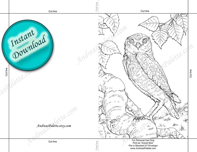 Owl Coloring Card INSTANT DOWNLOAD Burrowing Owl 5x7 PRINTABLE - Etsy