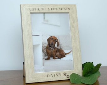 Pet Sympathy Gift Memorial Gift Frame for Loss of A Pet One Remembrance Picture Frame for Dog Cat
