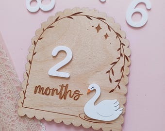 Personalized Swan Baby Monthly Milestones, Whimsical Baby Milestones, Monthly Milestone Markers, Wooden Milestone Cards, Baby Photo Sign