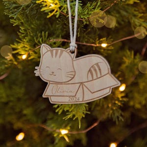 Cat Ornament Personalized Kitten Ornament Custom Pet Ornament with Names