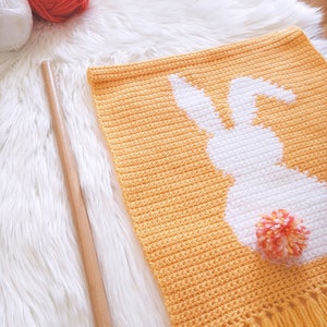 May include: A crocheted wall hanging featuring a white bunny silhouette with a pink and orange pom-pom tail on a yellow background.