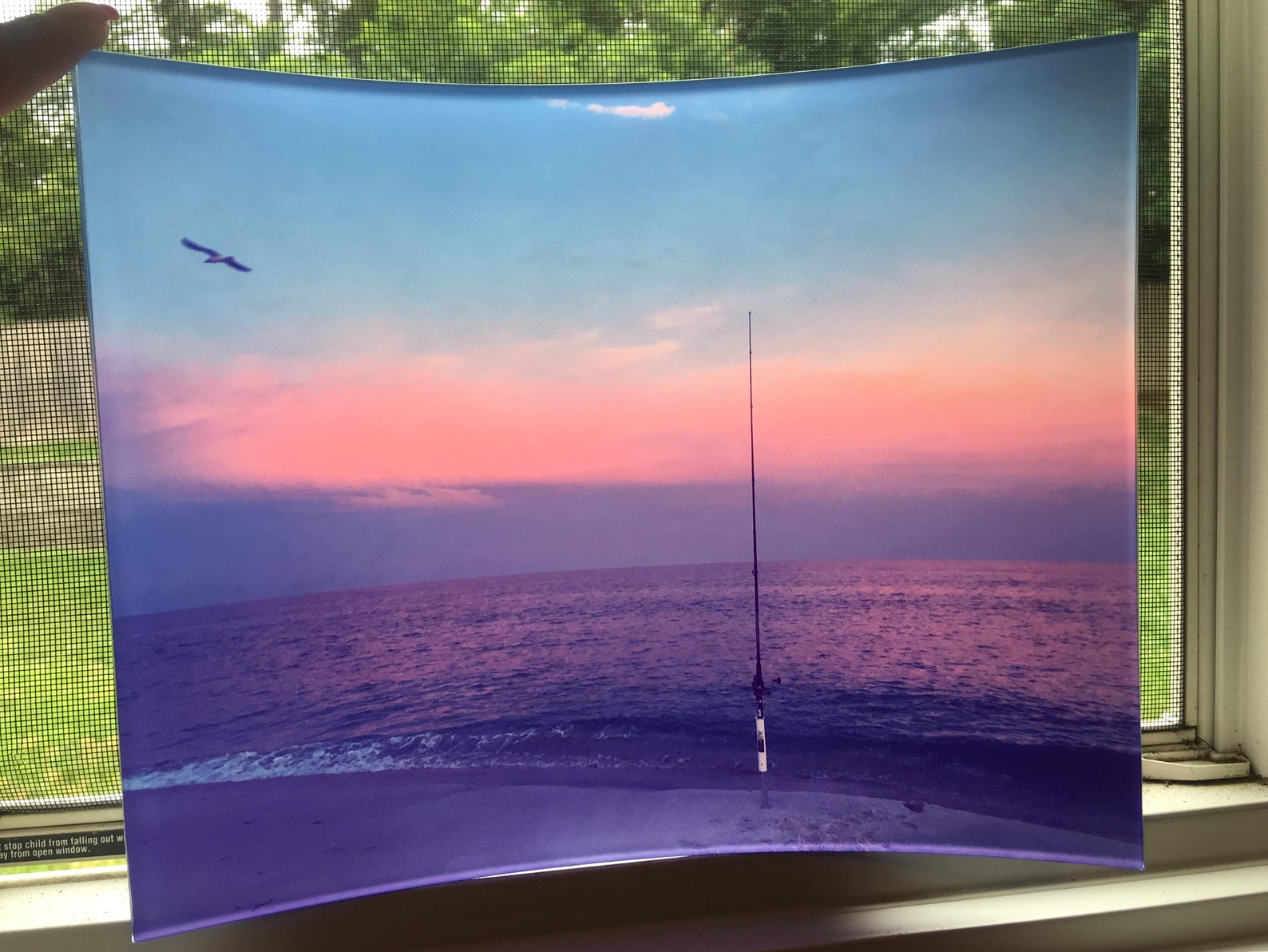 Custom Photo Panel 8x10 Colorlyte Acrylic Photo Panel Unique Etsy