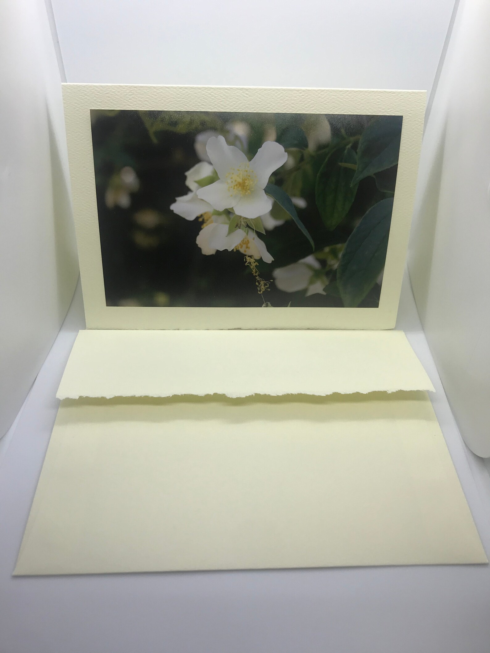 Blank 5X7 Greeting Card White Flower Etsy