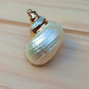 White seashell pendant,27-40 x 17-28 mm