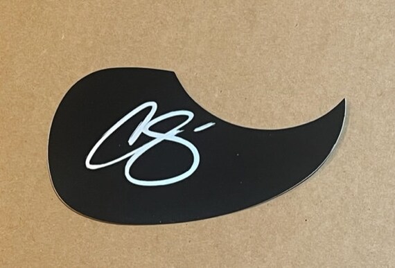 Autographed sale guitar picks