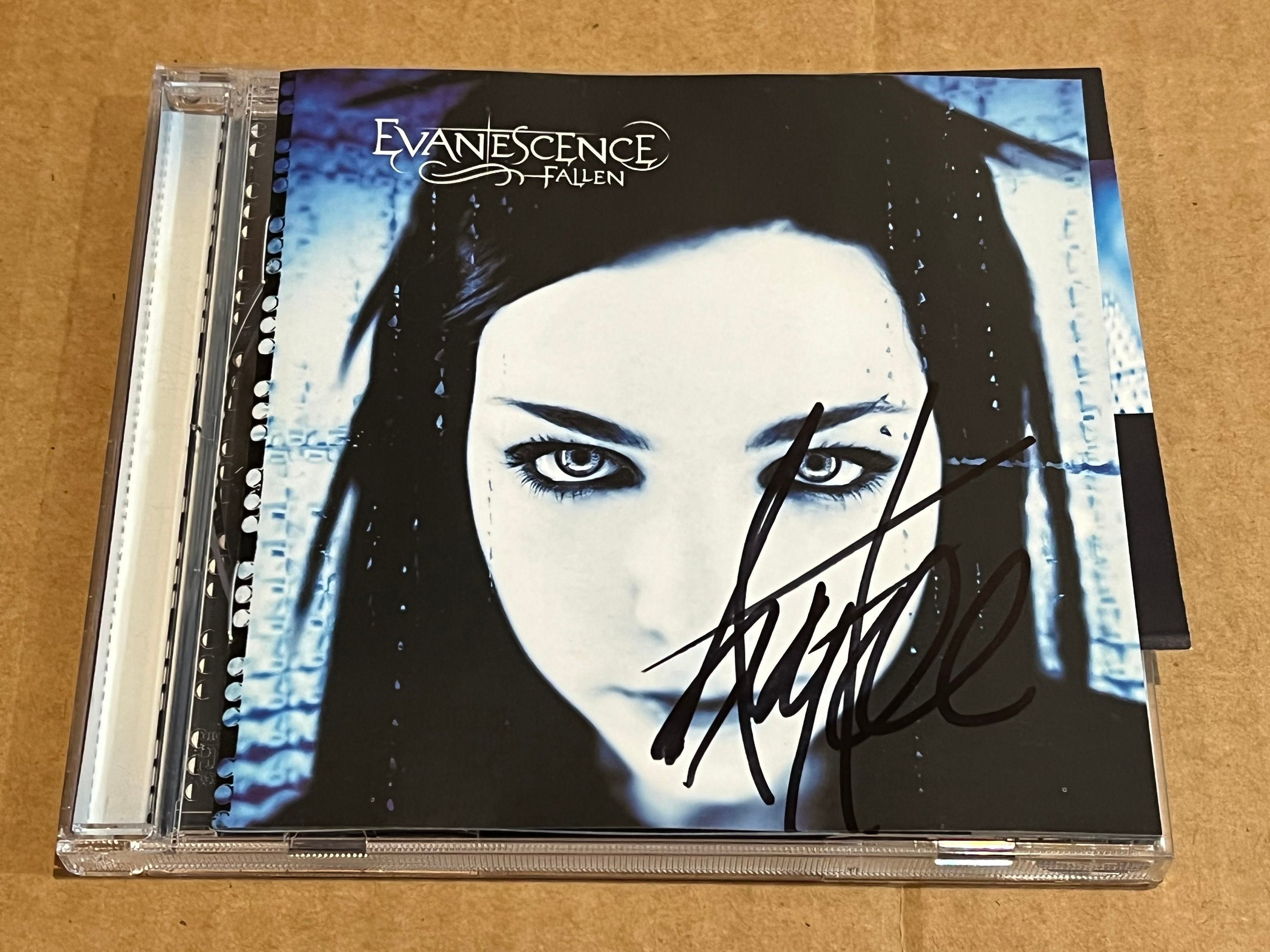 Evanescence fallen кассета. группа evanescence 2003. альбом эванесенс 2003. Evanescence fallen альбом. Tina assacura.
